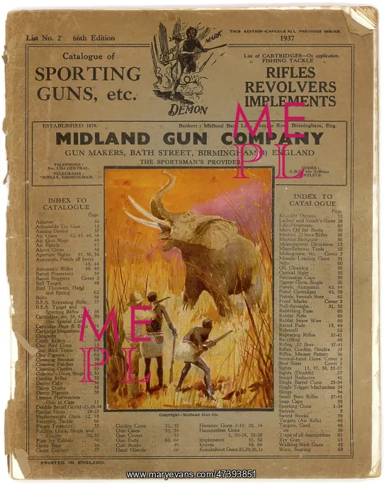 : SHOOTING AN ELEPHANT : SHOOTING AN ELEPHANT