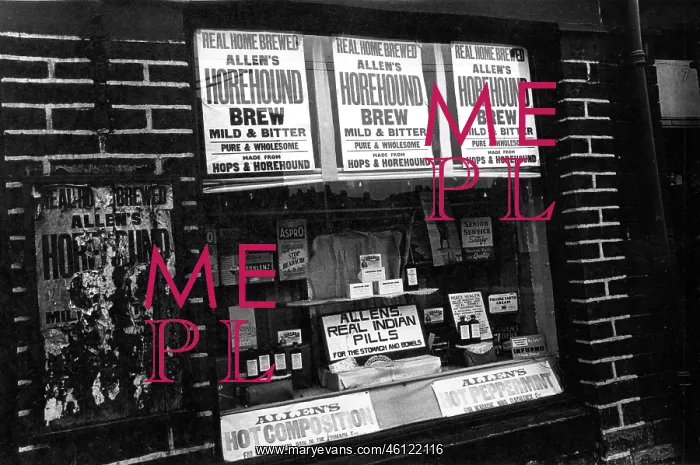 : Shop window displaying patent medicines : Shop window displaying patent medicines