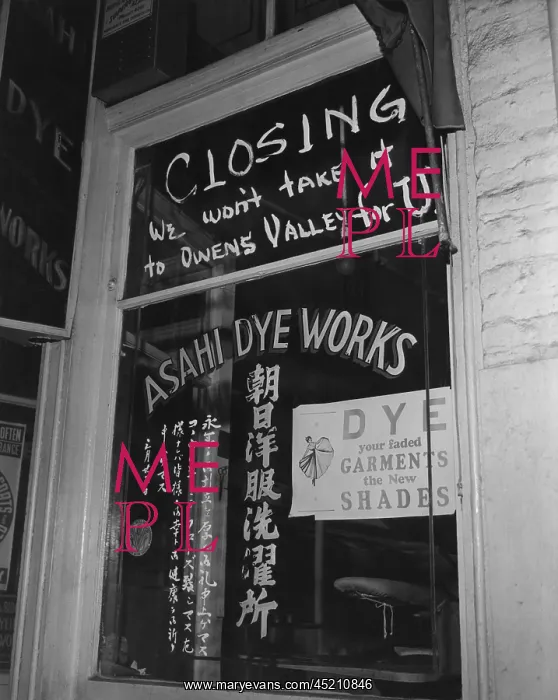 : Shop window of the Japanese American owned ? : Shop window of the Japanese American owned ?
