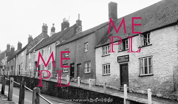 : Shopping in Sherborne : Shopping in Sherborne