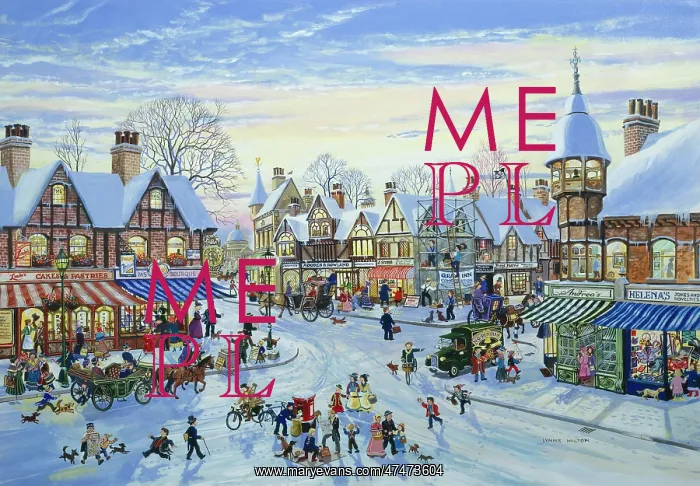 : Shopping in the Snow : Shopping in the Snow
