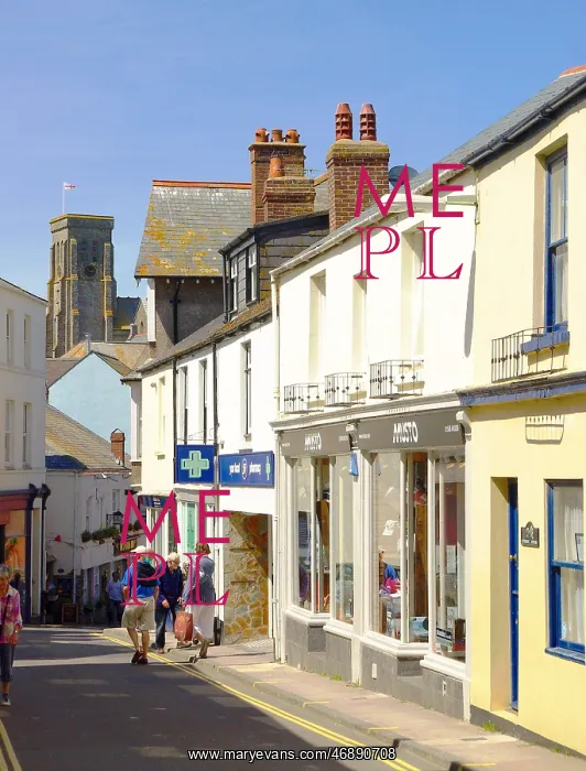  : Shopping street in Salcombe, Devon
