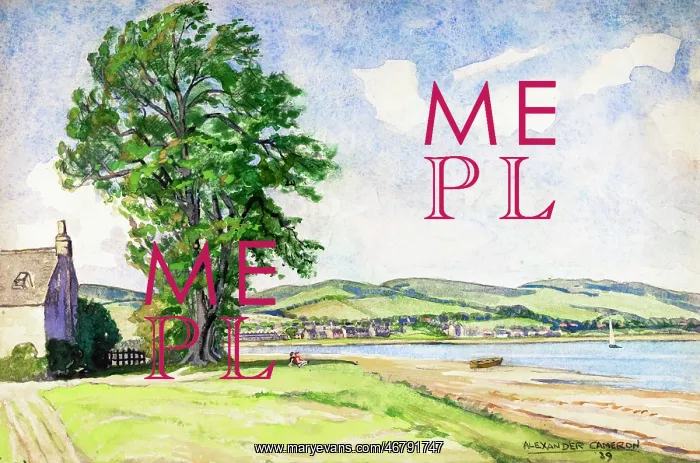 : Along the shore at Lamlash, Isle of Arran, Scotland : Along the shore at Lamlash, Isle of Arran, Scotland