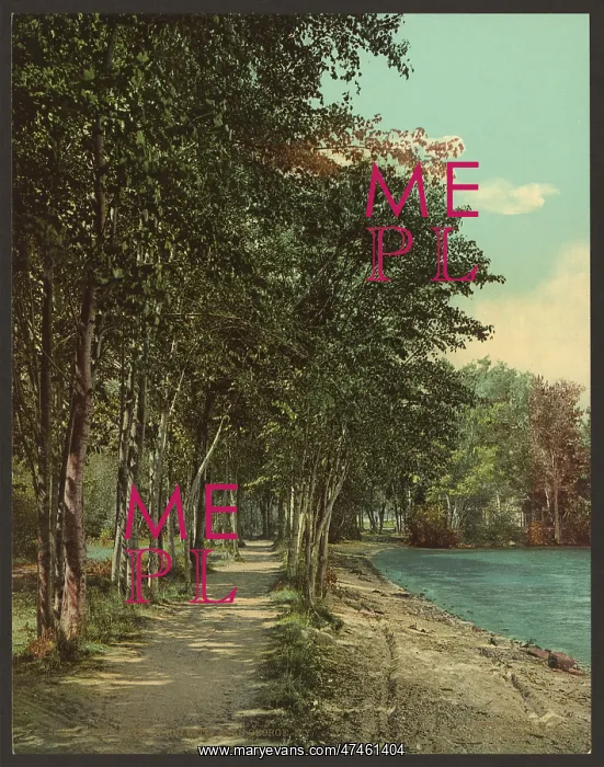 : Shore path at Hulett's, Lake George, N.Y : Shore path at Hulett's, Lake George, N.Y