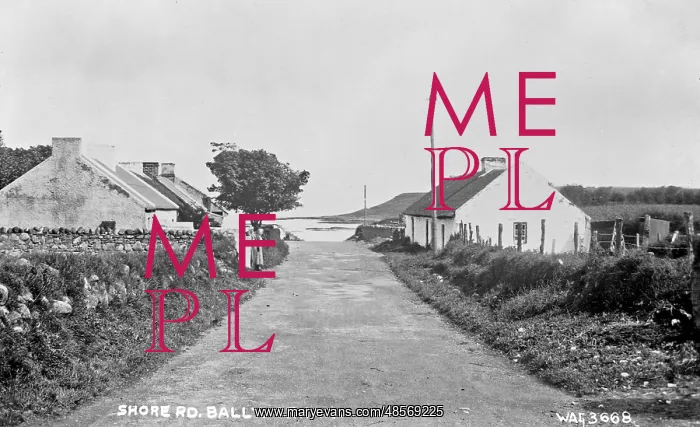 : Shore Rd. Ballyhornan : Shore Rd. Ballyhornan