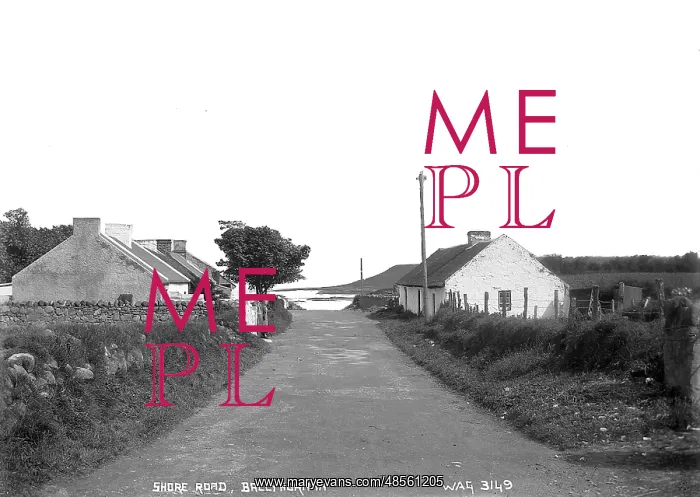 : Shore Road, Ballyhornan : Shore Road, Ballyhornan