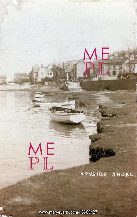 : The Shore and Village : The Shore and Village