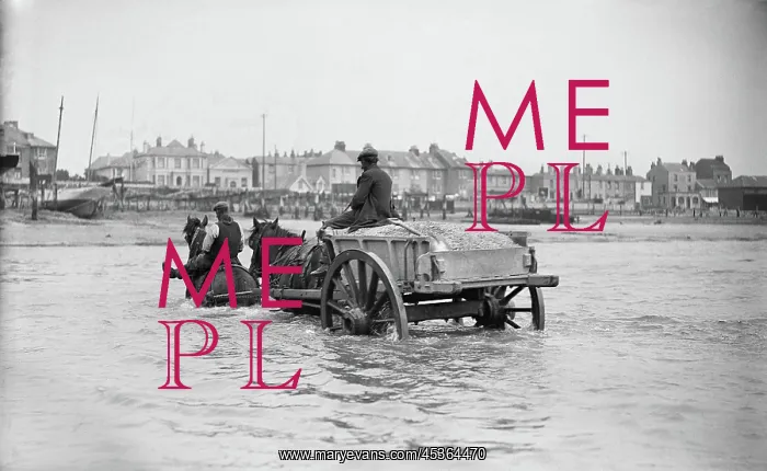 : Shoreham harbour : Shoreham harbour