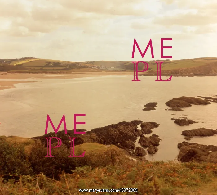 : Shores of Burgh Island, Devon : Shores of Burgh Island, Devon