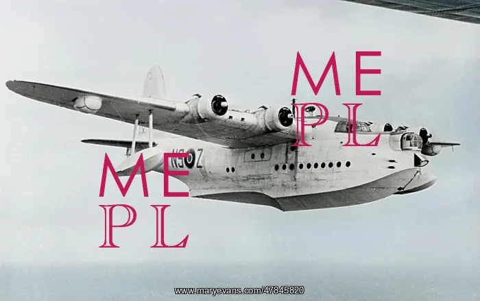  : Short Sunderland flying boat in flight