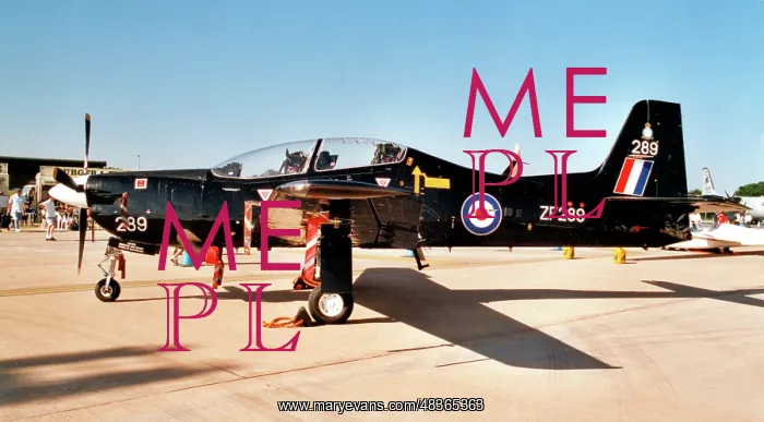 : Short Tucano T.1 ZF289 : Short Tucano T.1 ZF289