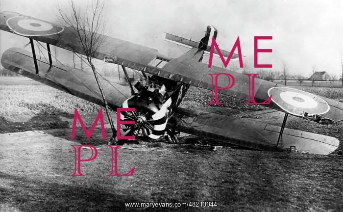 : Shot down British airplane, 1918 : Shot down British airplane, 1918