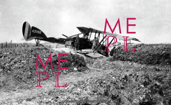 : Shot down British airplane, 1918 : Shot down British airplane, 1918
