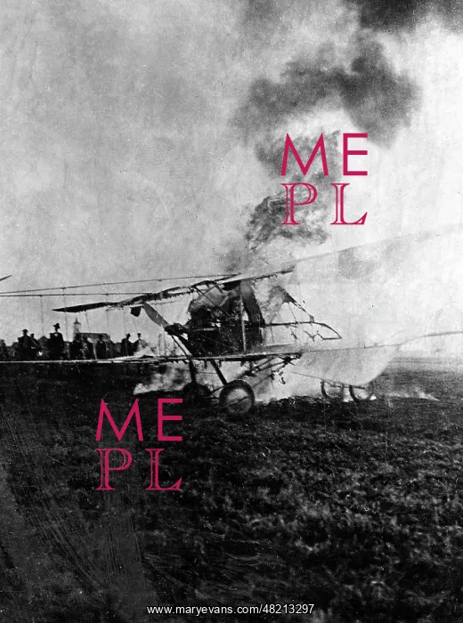 : A shot down French plane, 1915 : A shot down French plane, 1915