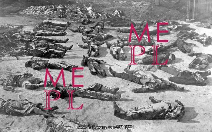 : Shot hostages in Mitau, 1919 : Shot hostages in Mitau, 1919