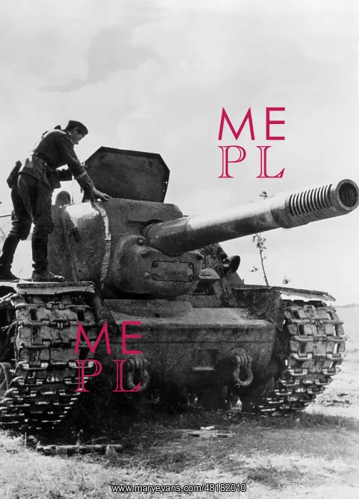 : Shot down Russian assault gun, 1943 : Shot down Russian assault gun, 1943