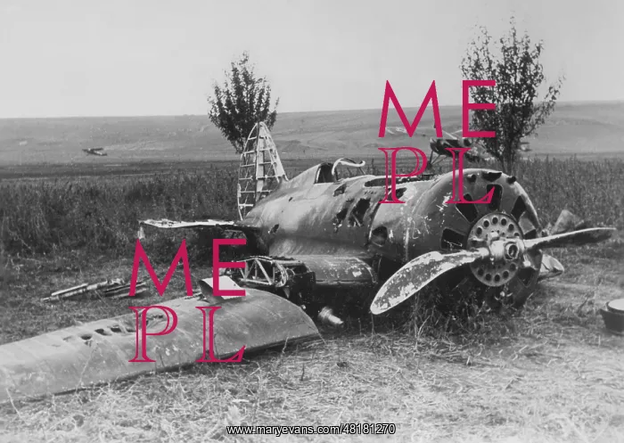 : Shot down Russian fighter machine, 1941 : Shot down Russian fighter machine, 1941
