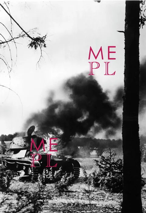 : Shot down Soviet tank on the Eastern Front, 1941 : Shot down Soviet tank on the Eastern Front, 1941