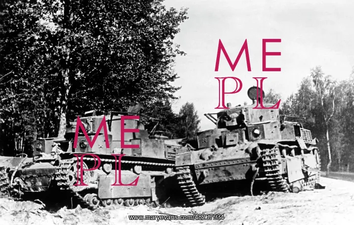 : Shot down Soviet tanks at Bialystok, 1941 : Shot down Soviet tanks at Bialystok, 1941