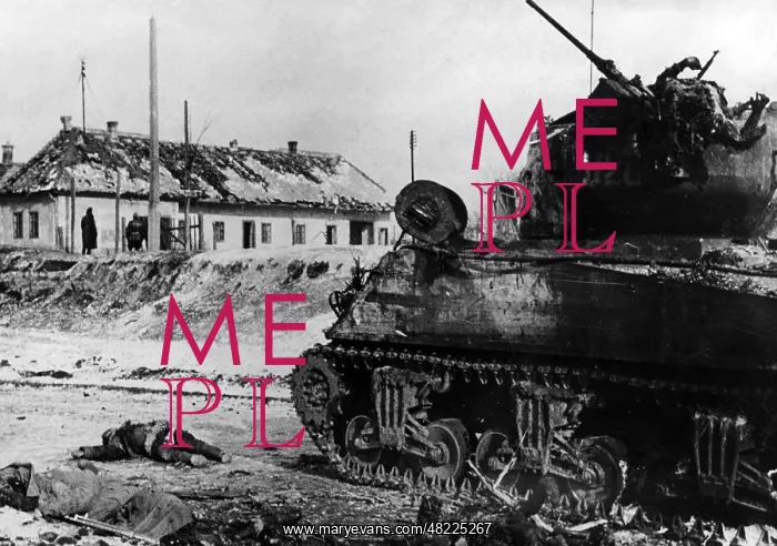  : Shot down Soviet tanks at Szekesfehervar, 1945
