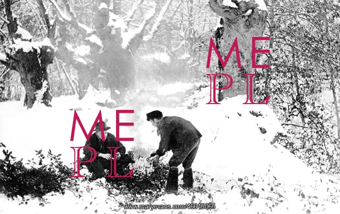  : Shottery, the Holly Gatherers 1910