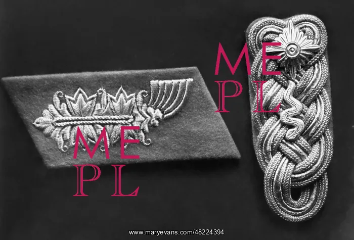  : Shoulder mark and collar patch of a veterinary surgeon