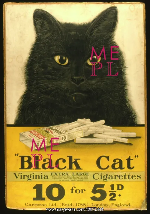 : Showcard, Black Cat cigarettes : Showcard, Black Cat cigarettes