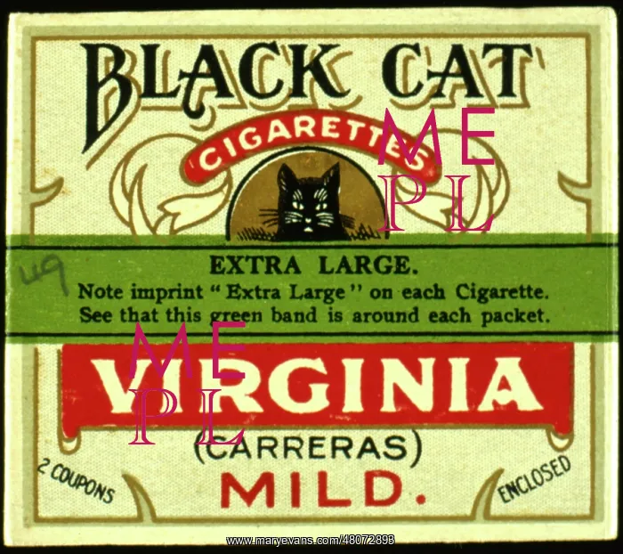 : Showcard, Black Cat Virginia cigarettes : Showcard, Black Cat Virginia cigarettes