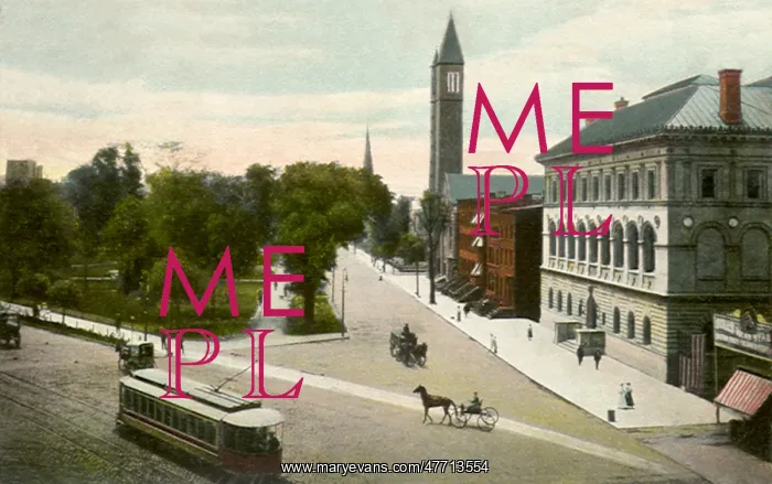 : Showing Library. Newark : Showing Library. Newark