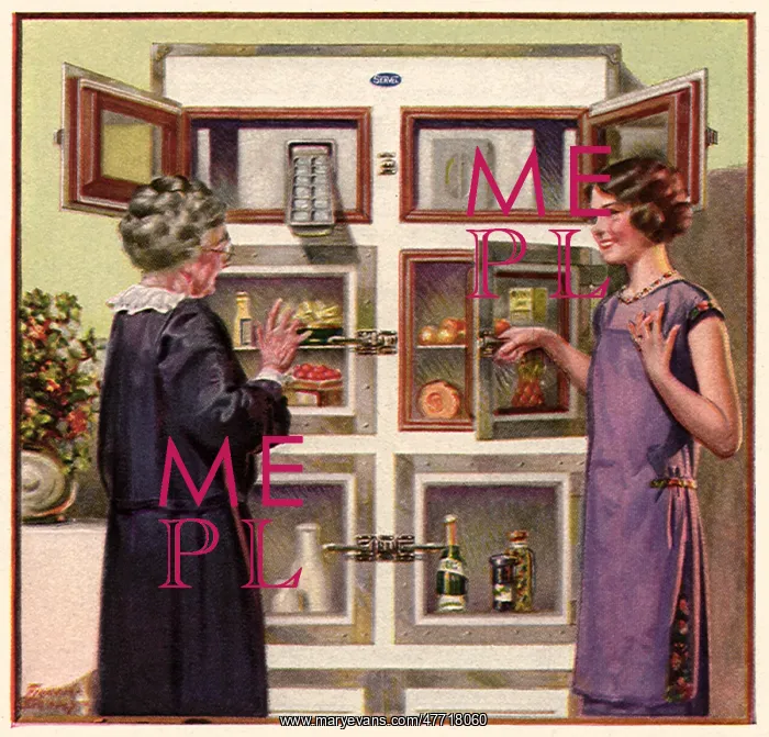 : Showing Off New Fridge : Showing Off New Fridge