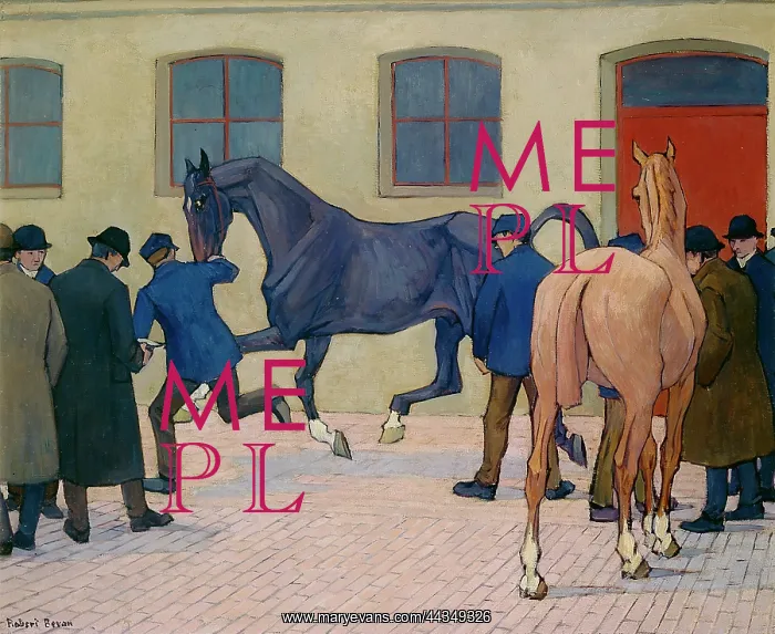 : Showing at Tattersalls : Showing at Tattersalls