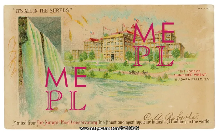 : SHREDDED WHEAT'S HOME : SHREDDED WHEAT'S HOME