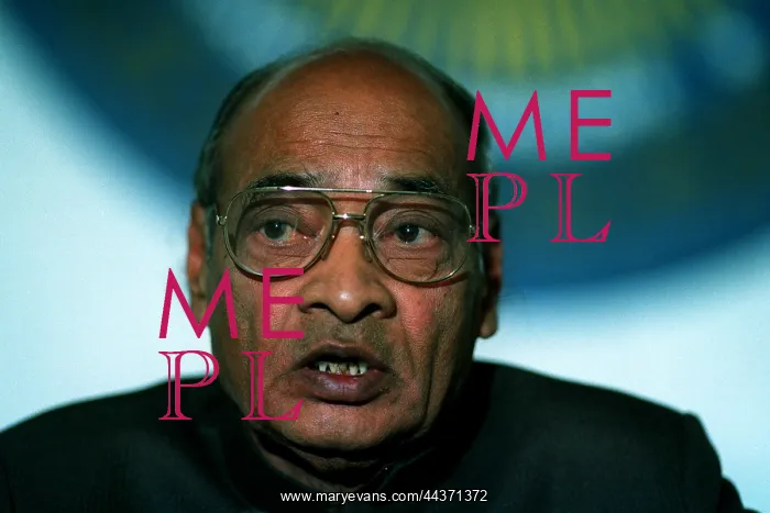 : Shri P V Narasimha Rao : Shri P V Narasimha Rao