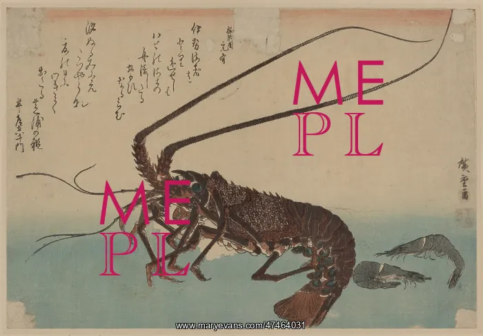  : Shrimp and lobster