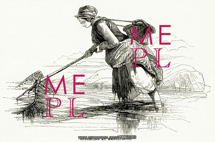 : Shrimping at Ambleteuse 1858 : Shrimping at Ambleteuse 1858