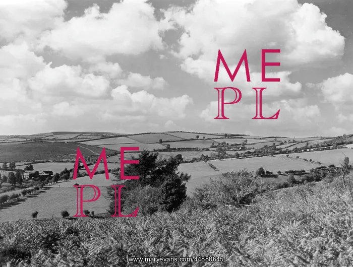 : SHROPSHIRE COUNTRYSIDE : SHROPSHIRE COUNTRYSIDE