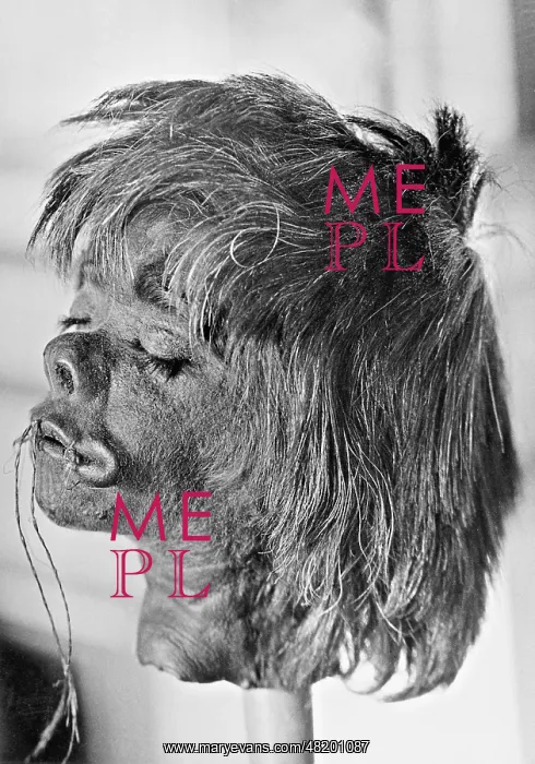 : A shrunken head, 1930 : A shrunken head, 1930