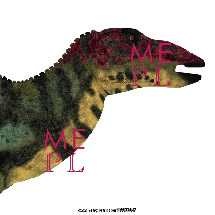 : Shuangmiaosaurus dinosaur head : Shuangmiaosaurus dinosaur head