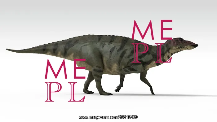 : Shuangmiaosaurus dinosaur, white background : Shuangmiaosaurus dinosaur, white background