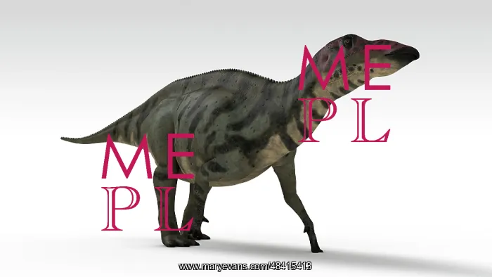 : Shuangmiaosaurus dinosaur, white background : Shuangmiaosaurus dinosaur, white background