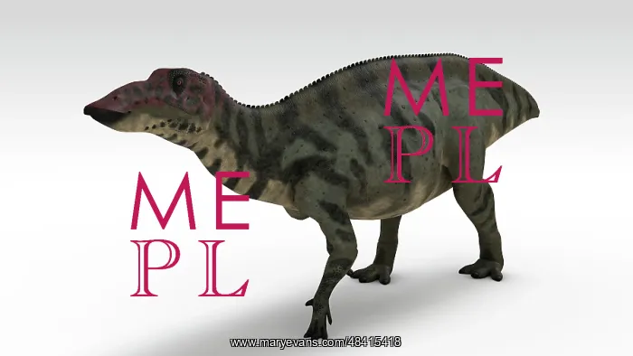 : Shuangmiaosaurus dinosaur, white background : Shuangmiaosaurus dinosaur, white background