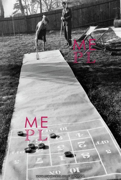 : Shuffle board for the garden : Shuffle board for the garden