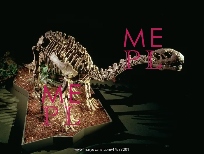 : Shunosaurus : Shunosaurus