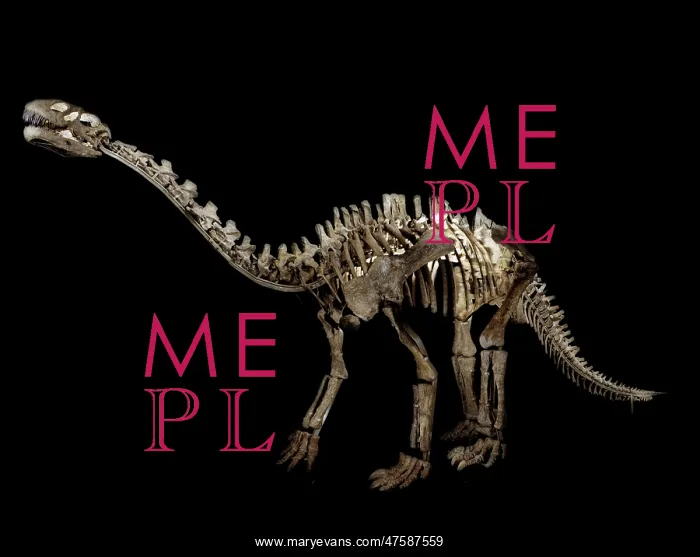 : Shunosaurus : Shunosaurus