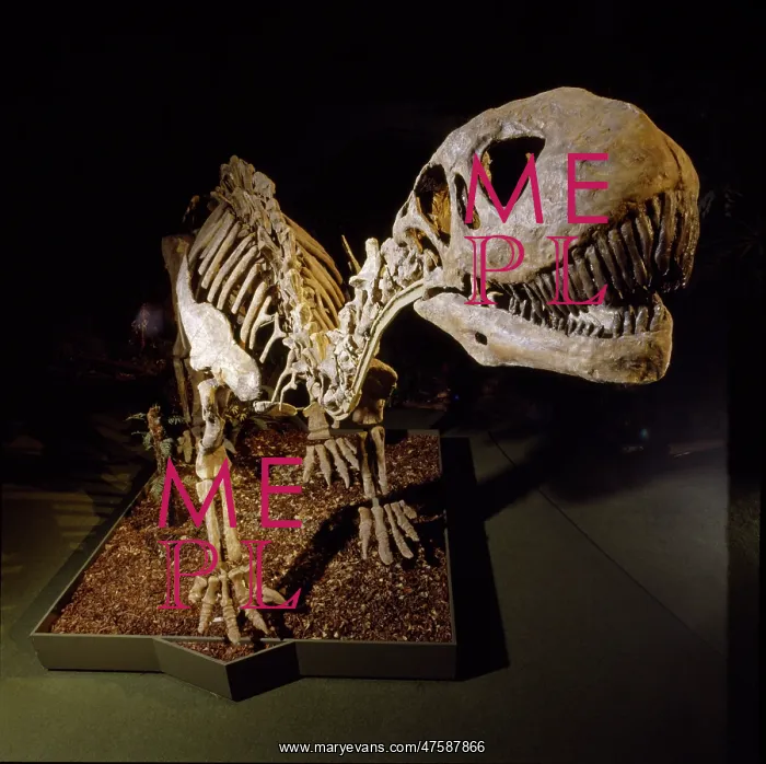 : Shunosaurus : Shunosaurus