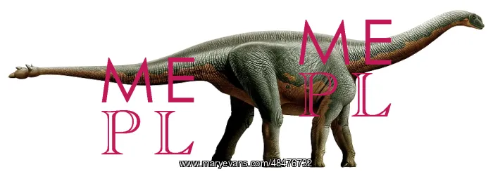  : Shunosaurus, a genus of sauropod dinosaur from Middle ?
