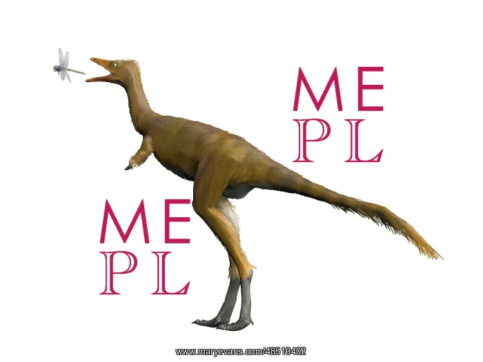 : Shuvuuia dinosaur : Shuvuuia dinosaur