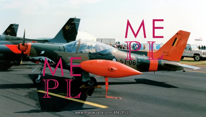 : SIAI-Marchetti SF.260MB ST-06 : SIAI-Marchetti SF.260MB ST-06