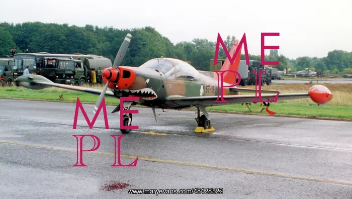 : SIAI-Marchetti SF.260MB ST-19 : SIAI-Marchetti SF.260MB ST-19