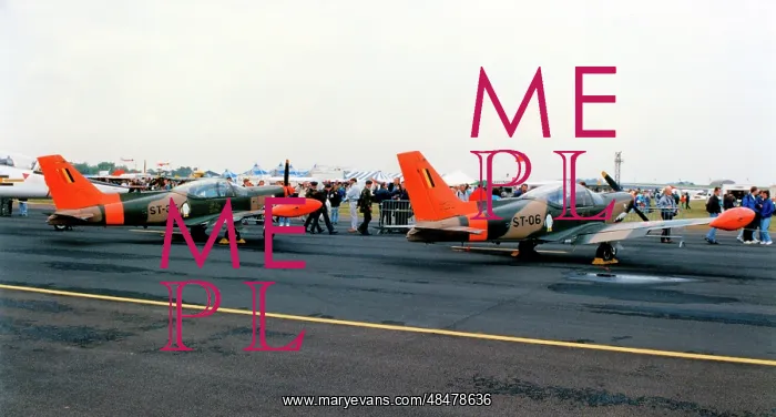 : SIAI-Marchetti SF.260MB ST-34 and ST-06 : SIAI-Marchetti SF.260MB ST-34 and ST-06